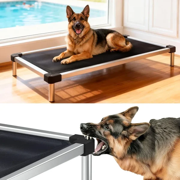 Chew-Proof Elevated Dog Bed
